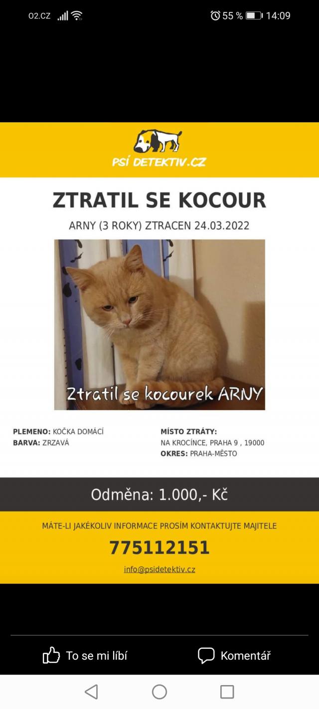 Ztratil se kocourek