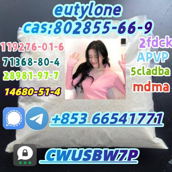 eutylone,mdma,2fdck,cas:802855-66-9, Research chemicals(+853 66541771)