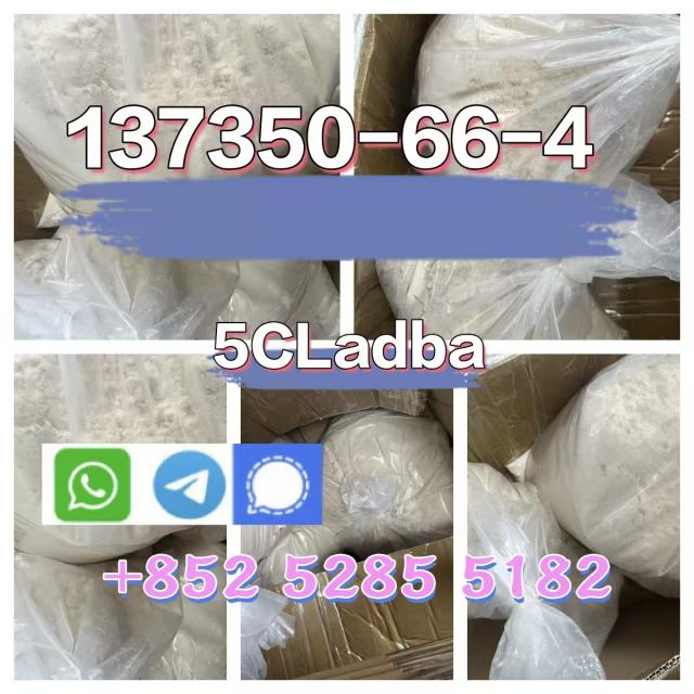 137350-66-4 multi peptides