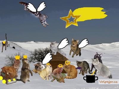 Jak to bylo doopravdy s Ježíškem