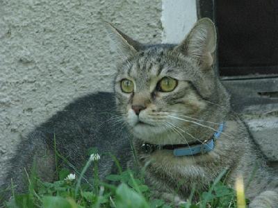 Výlet