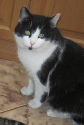 Vynadáno In Memoriam