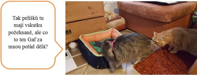 Jak jsme s DNŽ podnikly výchovný výlet do ústeckého kraje – část obrazová.