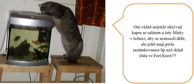 Jak jsme s DNŽ podnikly výchovný výlet do ústeckého kraje – část obrazová.