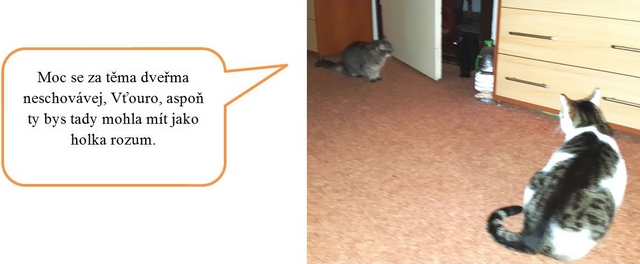 Jak jsme s DNŽ podnikly výchovný výlet do ústeckého kraje – část obrazová.