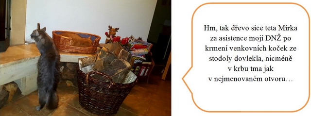 Jak jsme s DNŽ podnikly výchovný výlet do ústeckého kraje – část obrazová.