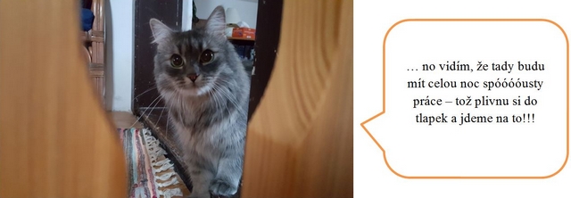 Jak jsme s DNŽ podnikly výchovný výlet do ústeckého kraje – část obrazová.