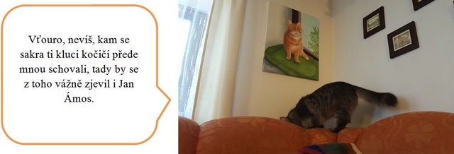 Jak jsme s DNŽ podnikly výchovný výlet do ústeckého kraje – část obrazová.