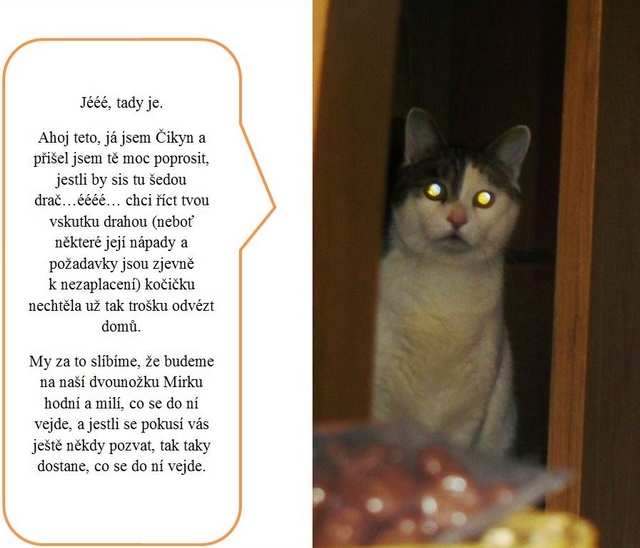 Jak jsme s DNŽ podnikly výchovný výlet do ústeckého kraje – část obrazová.