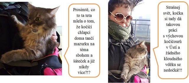 Jak jsme s DNŽ podnikly výchovný výlet do ústeckého kraje – část obrazová.