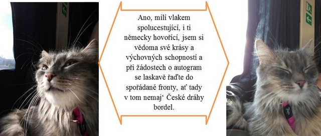 Jak jsme s DNŽ podnikly výchovný výlet do ústeckého kraje – část obrazová.