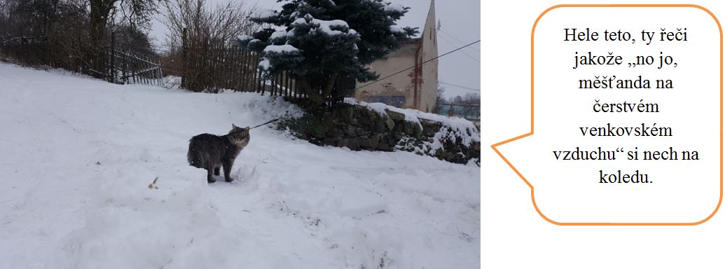 Jak jsme s DNŽ podnikly výchovný výlet do ústeckého kraje – část obrazová.