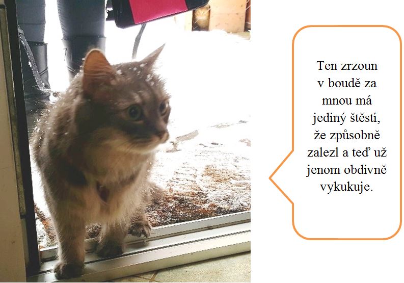 Jak jsme s DNŽ podnikly výchovný výlet do ústeckého kraje – část obrazová.