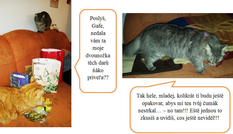 Jak jsme s DNŽ podnikly výchovný výlet do ústeckého kraje – část obrazová.