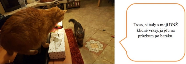 Jak jsme s DNŽ podnikly výchovný výlet do ústeckého kraje – část obrazová.