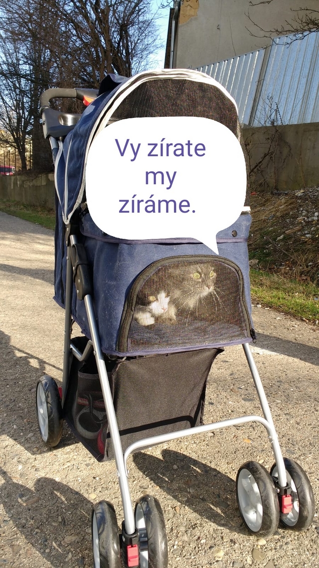 Kočičí deníček Miou