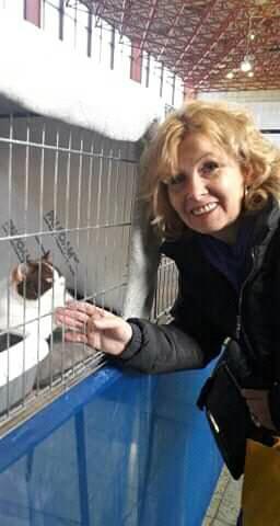 Vstava maiek na Agrokomplex v Nitre 24. 11. 2019