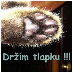 Kulhavá kočička