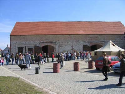 Fronta na kočky