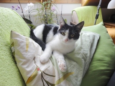 Líza (4): Andílek