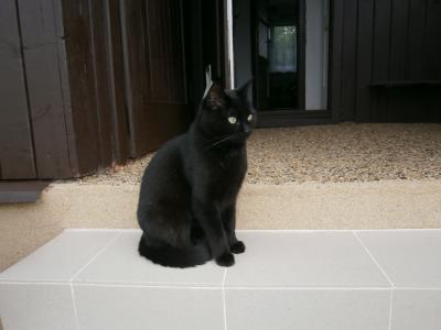 Čertík (5): Zvědavý Čertík.