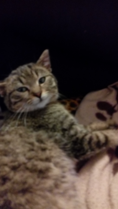 Míša (10): 