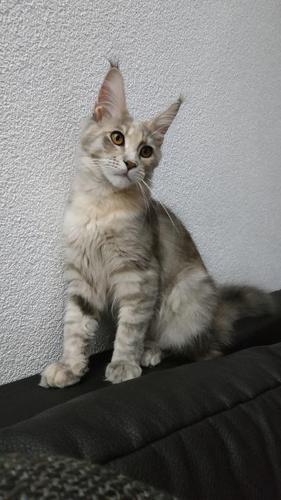 Desert Rose Hammamet Yasmine, SK: To jsem já nejmladší