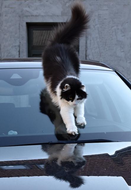Nala jsem si bezvadnou klouzaku :-)