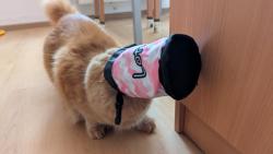 4/4 ���, pom�c