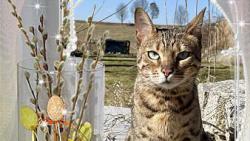 U�ijte si kr�sn� Velikono�n� sv�tky 🐣🍀