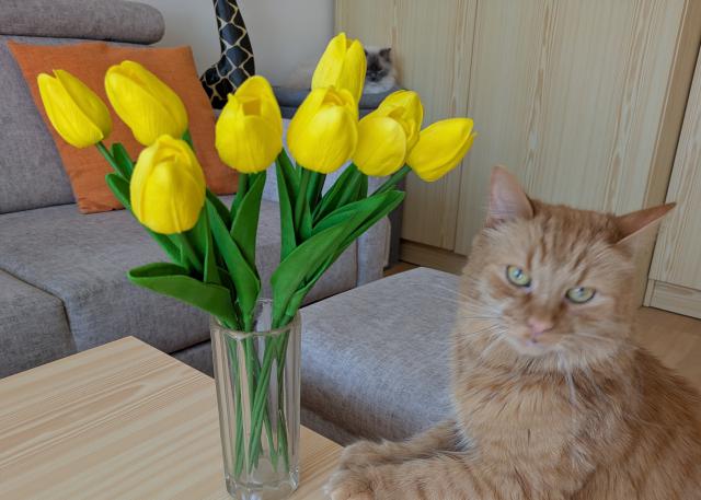 Vesel� Velikonoce 🙂