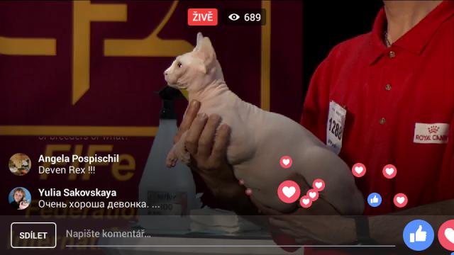 Fotka u komente
