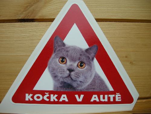 Nzev: Bettynka jede na vlet / Vystavovatel: Betty