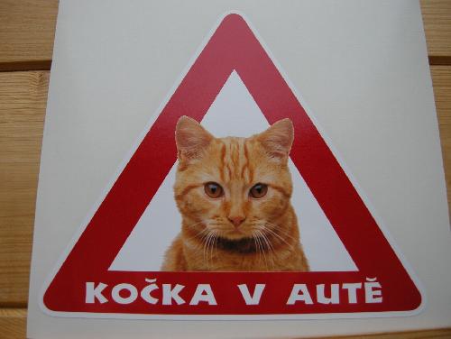 Nzev: Wyuka jede na vlet / Vystavovatel: Betty