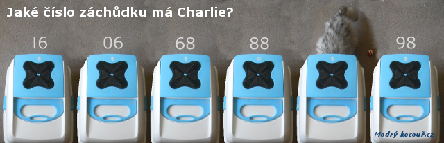 Kv�zou� 5: ��seln� �ada