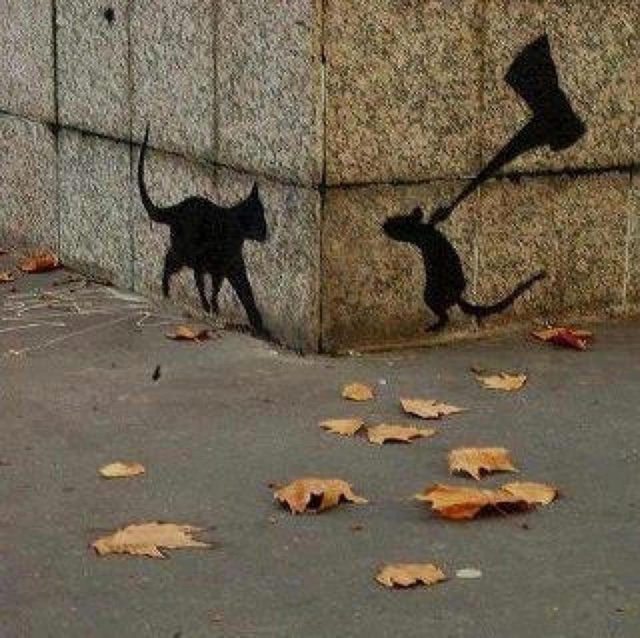 Kočičí graffiti 12