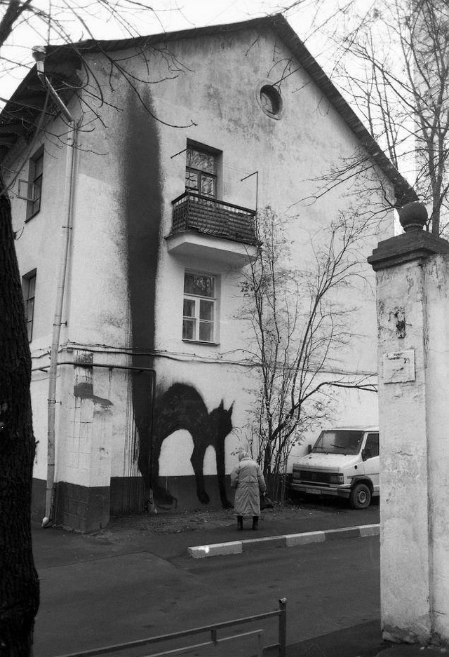 Kočičí graffiti 2