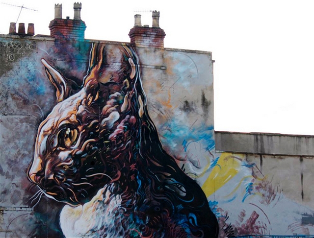 Kočičí graffiti 4