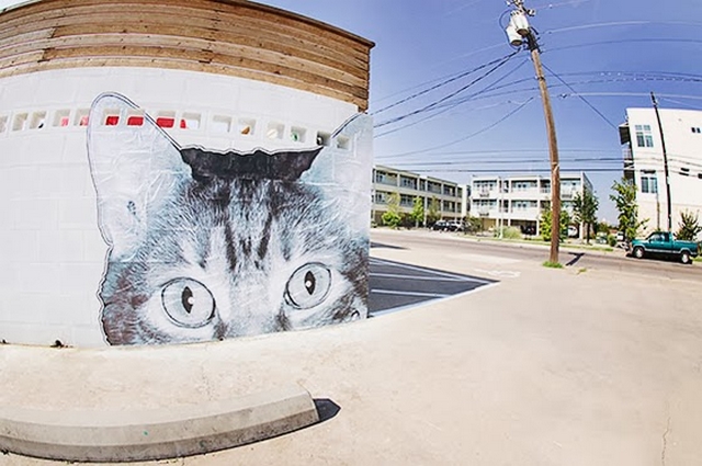 Kočičí graffiti 5