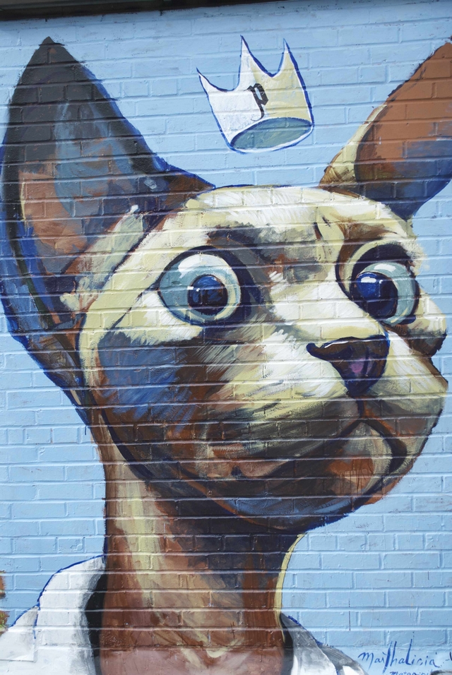 Kočičí graffiti 6
