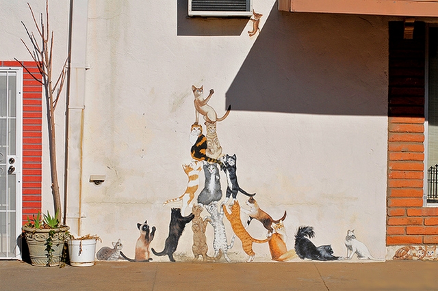 Kočičí graffiti 8