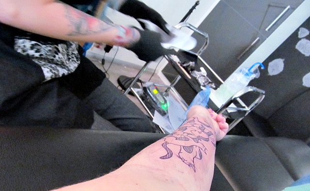 Kočky v tetovacím salonu / Cats in Tattoo Salon