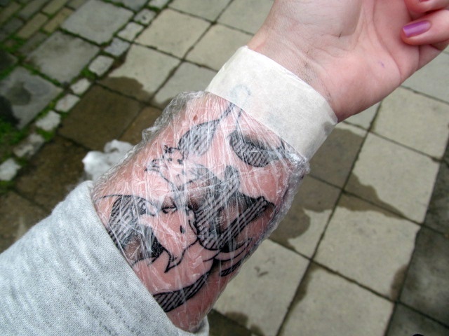 Kočky v tetovacím salonu / Cats in Tattoo Salon