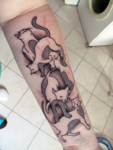 Kočky v tetovacím salonu / Cats in Tattoo Salon