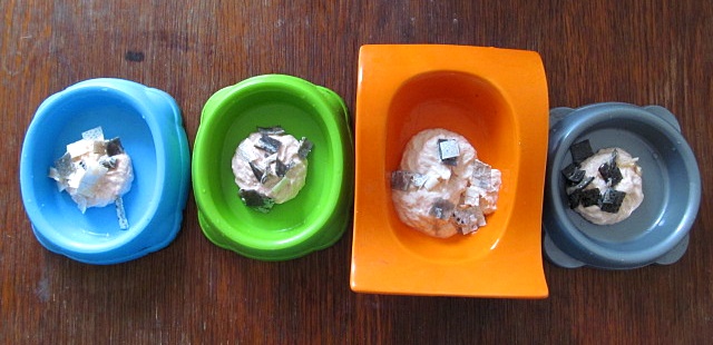 Vaříme pro kočky: recept na lososovou pěnu - ... a poklademe na pěnu