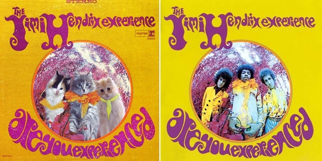 Koi obaly hudebnch alb / Cat album cover art