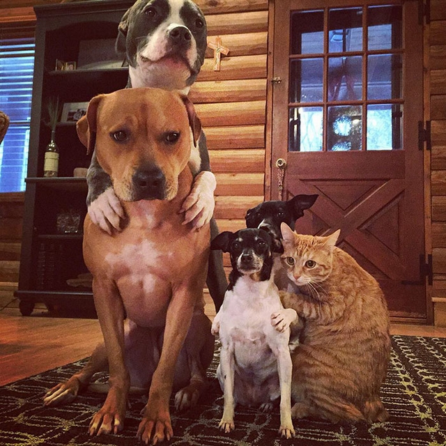 Fotočlánek: Neobvyklá rodinka
