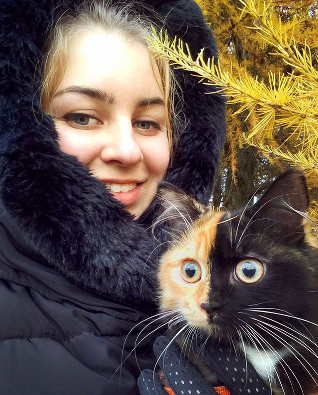 Fotočlánek: Yana, kočka dvou tváří