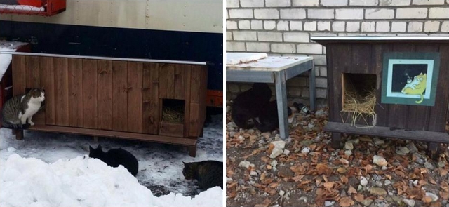 V Rize staví pro toulavé kočky dřevěné domečky